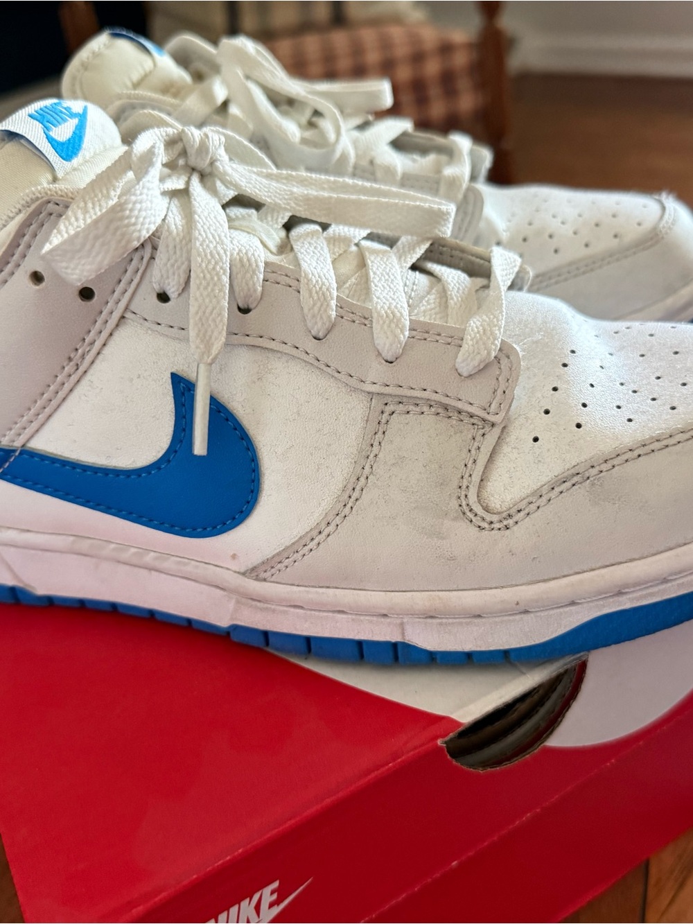 Nike Dunk Low Retro